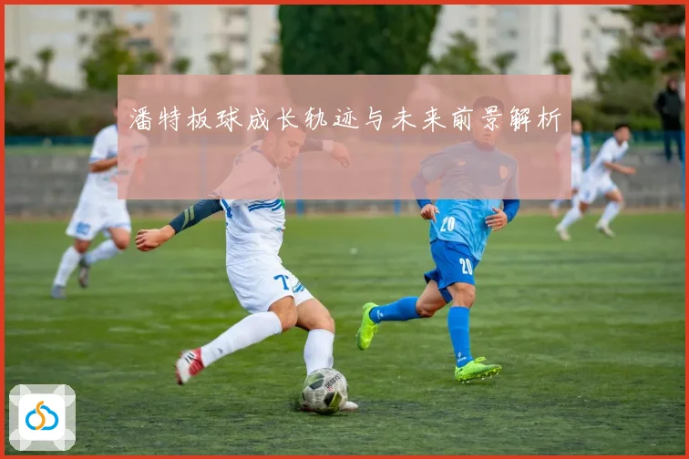 潘特板球成长轨迹与未来前景解析