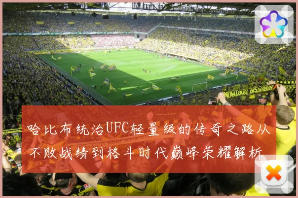 哈比布统治UFC轻量级的传奇之路从不败战绩到格斗时代巅峰荣耀解析