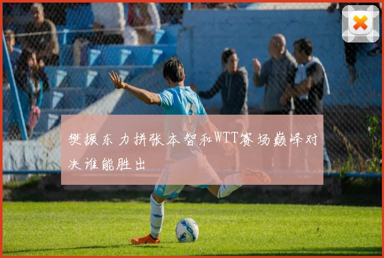 樊振东力拼张本智和WTT赛场巅峰对决谁能胜出