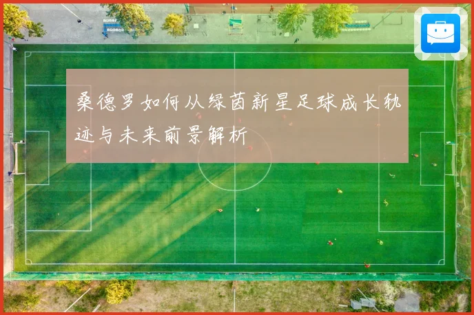 桑德罗如何从绿茵新星足球成长轨迹与未来前景解析