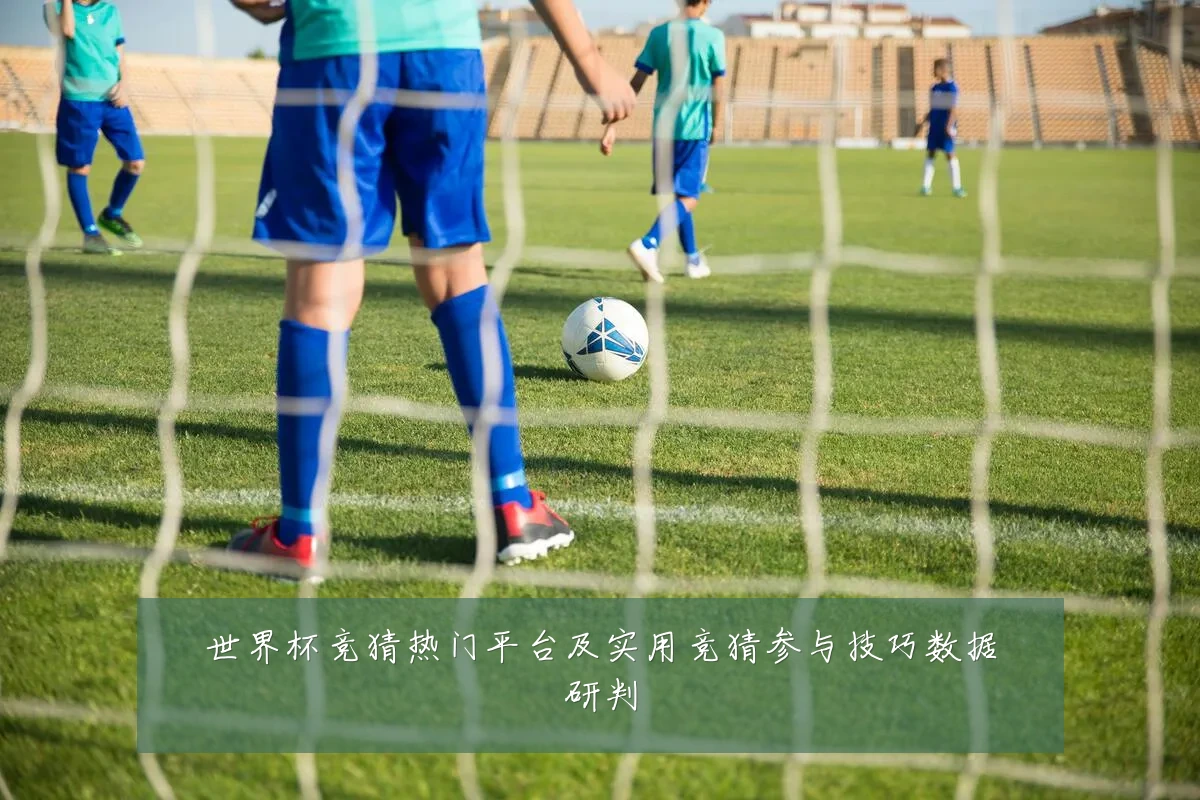 世界杯竞猜热门平台及实用竞猜参与技巧数据研判