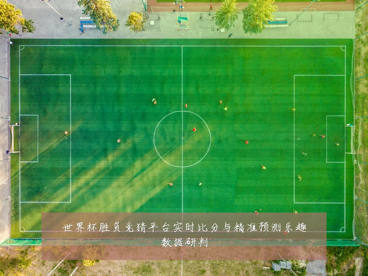 世界杯胜负竞猜平台实时比分与精准预测乐趣数据研判