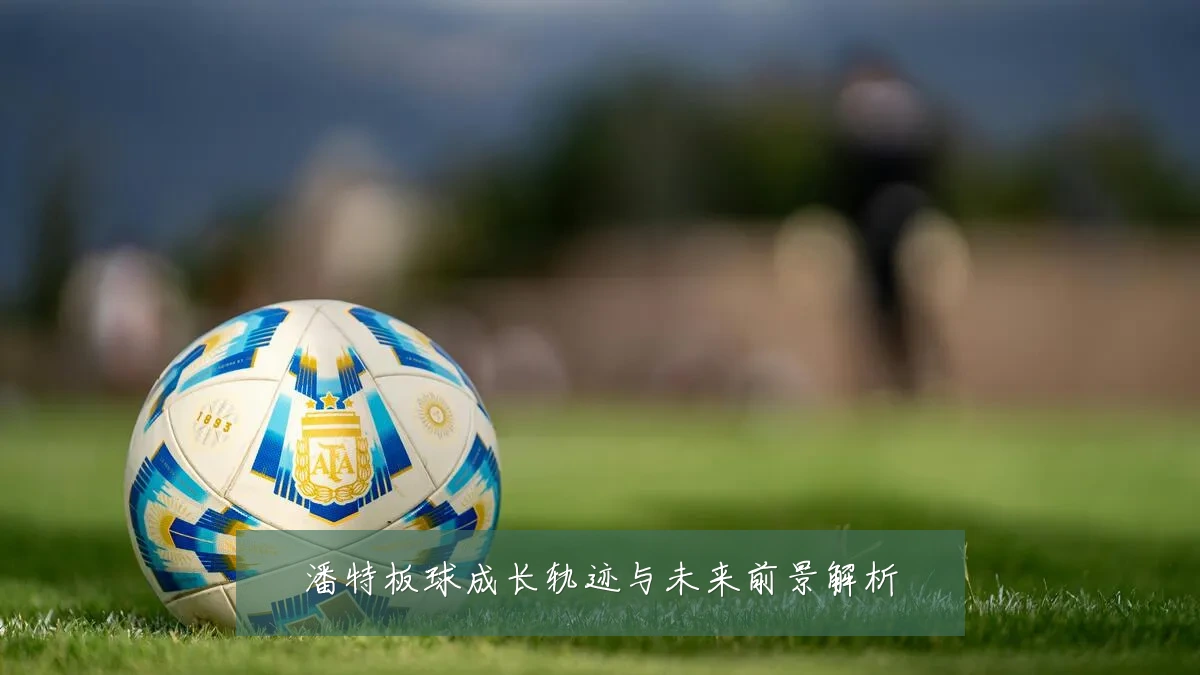 潘特板球成长轨迹与未来前景解析